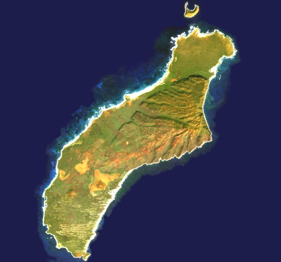(Niihau Island)